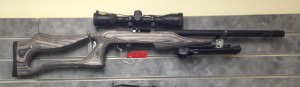 RUGER 10 22 CUSTOM