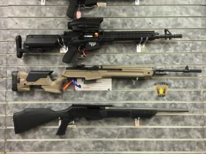 SPRINGFIELD M1A PRECISION